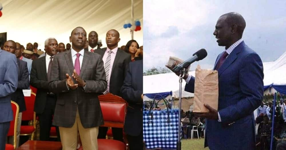 10 MPs demand investigations into William Ruto's wealth