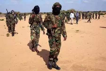 Malindi police storm al-Shabaab hideout