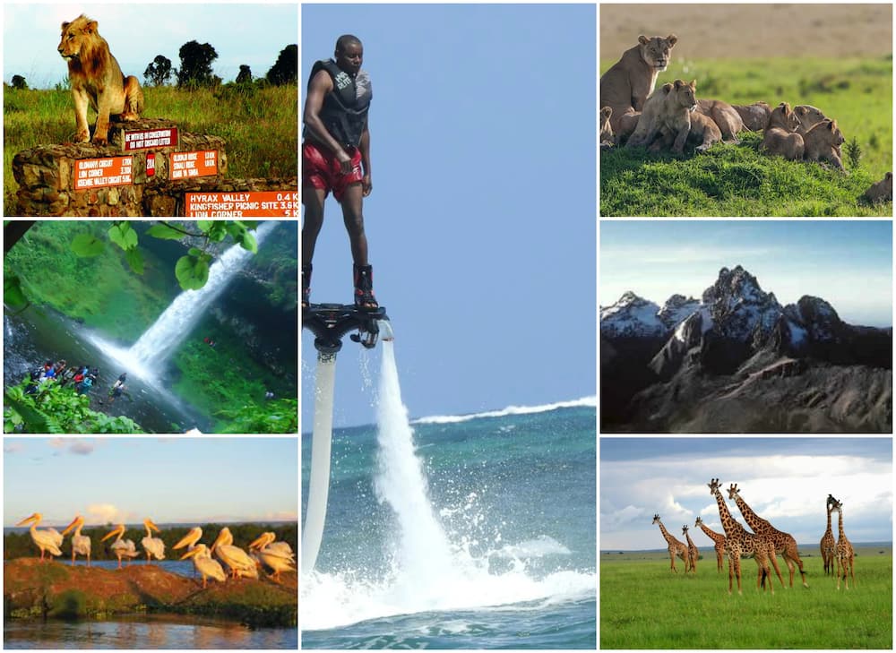 Main tourist attractions in Kenya