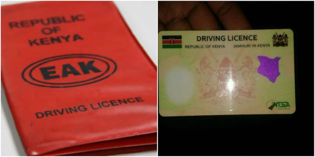 application-for-interim-driving-licence-kenya-tuko-co-ke