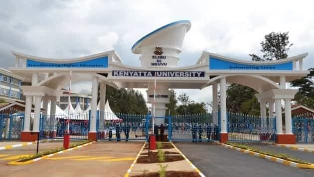 Image result for kenyatta university