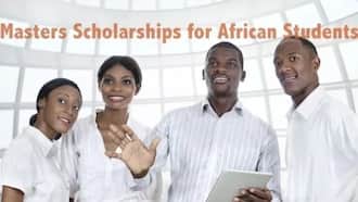 phd scholarships to study in kenya