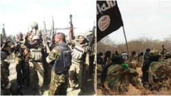 14 al-Shabaab militants DIE after attempt to attack KDF camp BACKFIRES