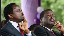 Kalonzo and I have no plans of abandoning Raila for Uhuru-Musalia Mudavadi