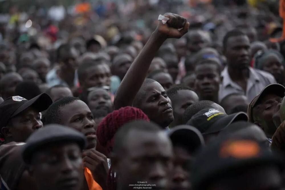 From peace to pieces. Ballot to bullet, we shall pay the price - David Ndii