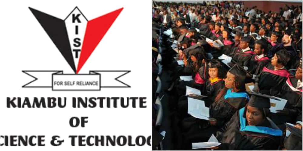 kiambu institute of science and technology admission letters
where is kiambu institute of science and technology
fee structure
certificate courses kiambu institute of science and technology admission letters
where is kiambu institute of science and technology
fee structure
certificate courses