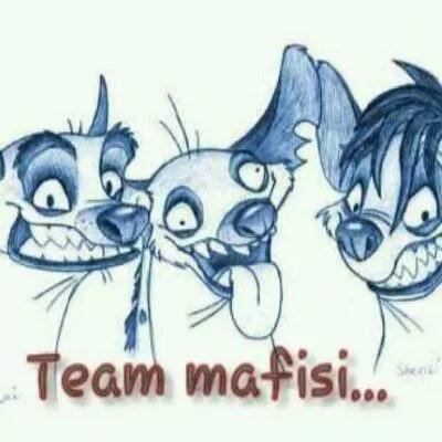 The difference between the real 'Fisi' and Team Mafisi