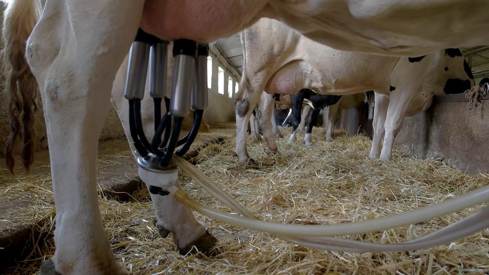 dairy farming machines