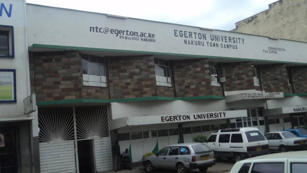 Egerton University Diploma Courses