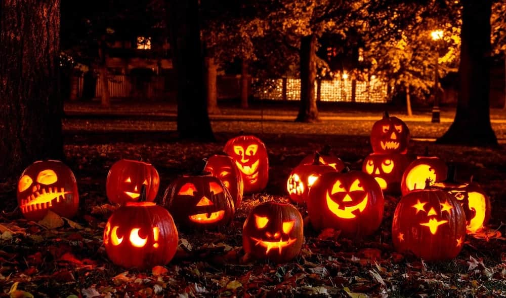 history of halloween
the origin of halloween
significance of halloween