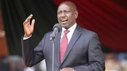 DP Ruto asked to apologise after claiming Ameru people are so loyal they will kill if asked to