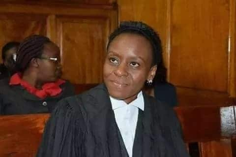 DCJ Mwilu will be represented by 44 lawyers