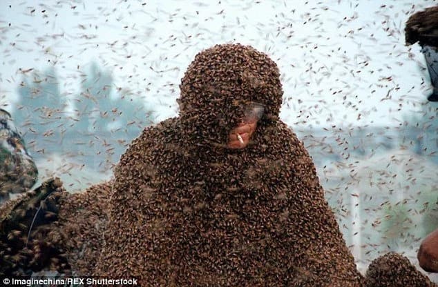 Man Sets World Record By Covering Himself In 100kg Of Bees