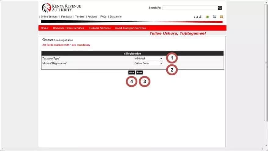 Kra pin registration for students