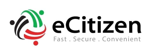 Ecitizen portal