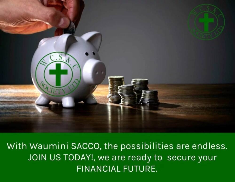 Waumini Sacco contacts
waumini sacco mobile contacts
waumini sacco society contacts
waumini sacco phone number
how to contact waumini sacco
contacts for waumini sacco