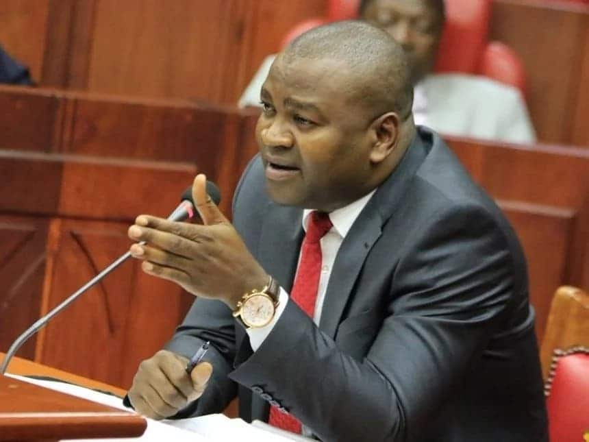 CS Rashid Echesa accuses Musalia Mudavadi's company over fall of Mumias Sugar