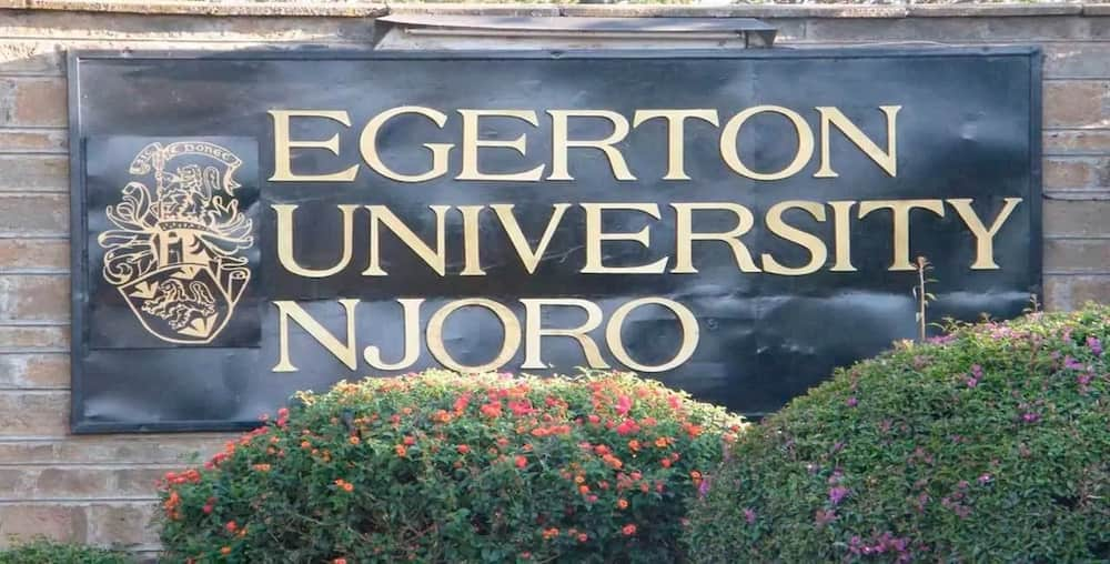 Egerton University Courses and Fee Structure: What You Need to Know