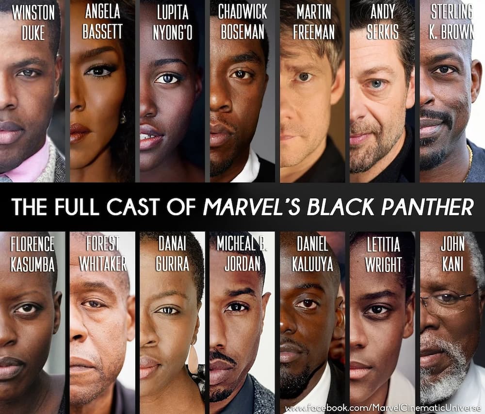 Black Panther Cast - Interesting Facts About the Cast