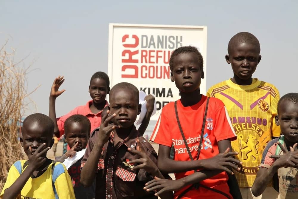 Danish refugee council Kenya contacts, Danish refugee council contacts Kenya, Danish refugee council offices in Kenya
