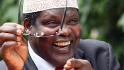 Miguna Miguna Hits Out at Netizen Who Pointed Out Spelling Error in His Post: "Artistic License"