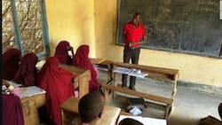 Al-Shabaab introduces Arabic school curriculum for primary and secondary schools students
