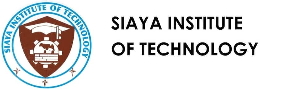 siaya institute of technology admission letters
siaya institute of technology fee structure
siaya institute of technology courses
siaya institute of technology contacts
siaya institute of technology application form