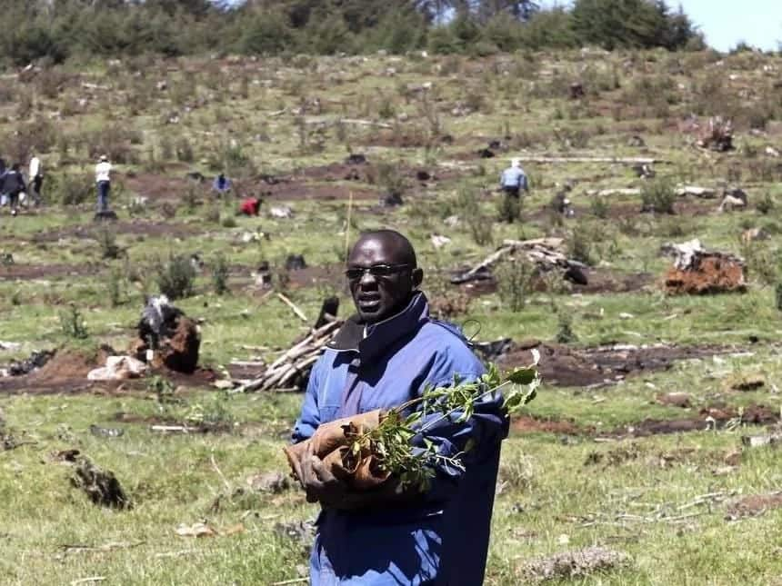 Senate summons CS Keriako Tobiko over Mau evictions