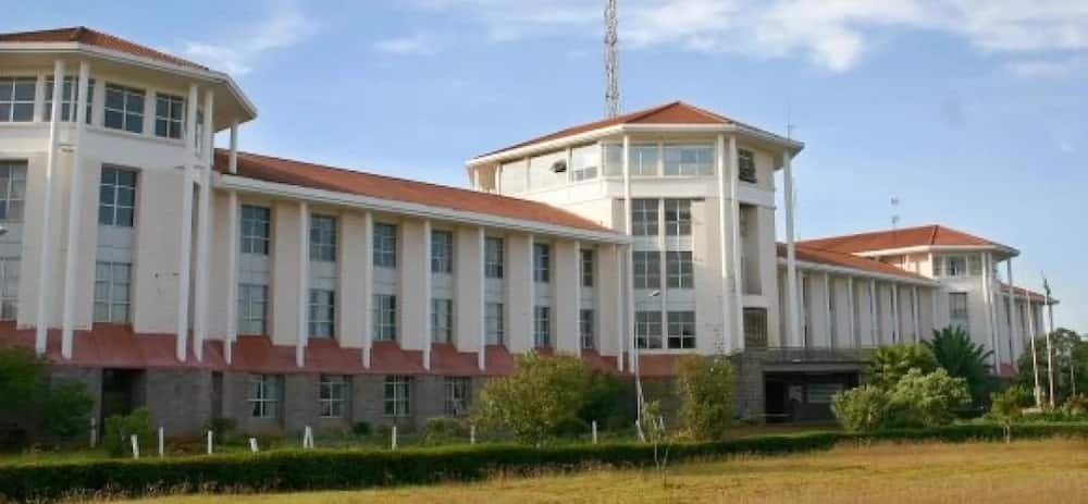 Moi University VC protest prove ethnic appointments