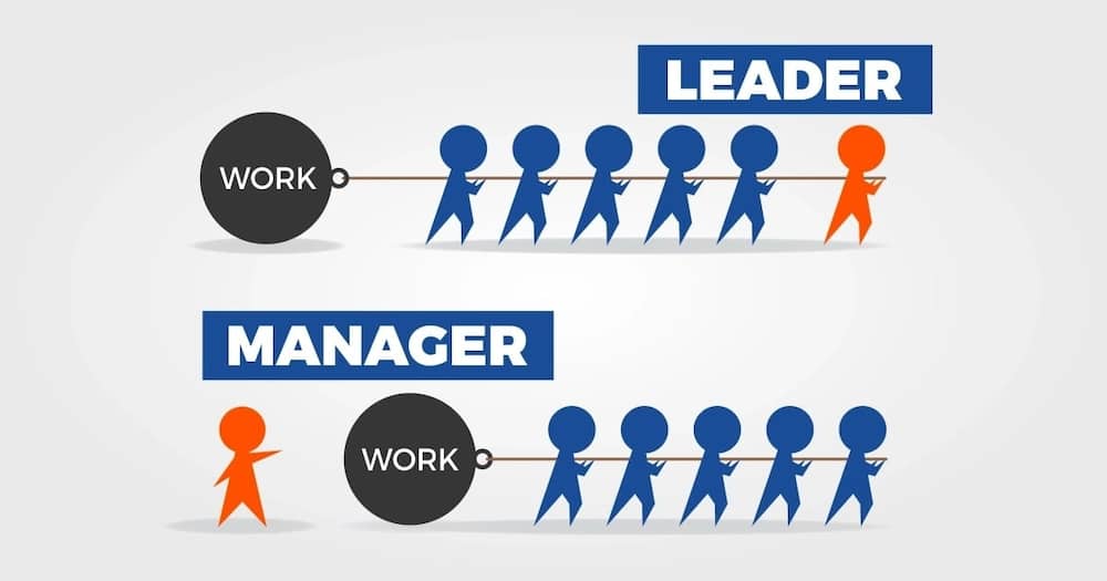 Difference between leadership and management, leadership vs management, leadership and management difference