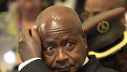 Museveni awataka wanawake Uganda kutozaa zaidi ya watoto 4