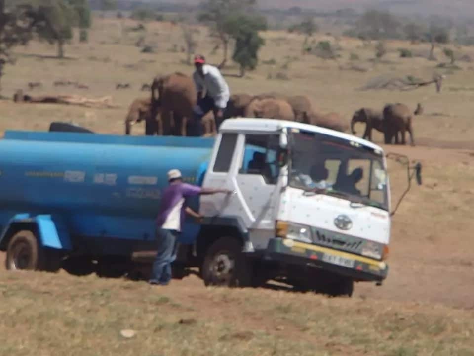 Man who delivers water at Tsavo