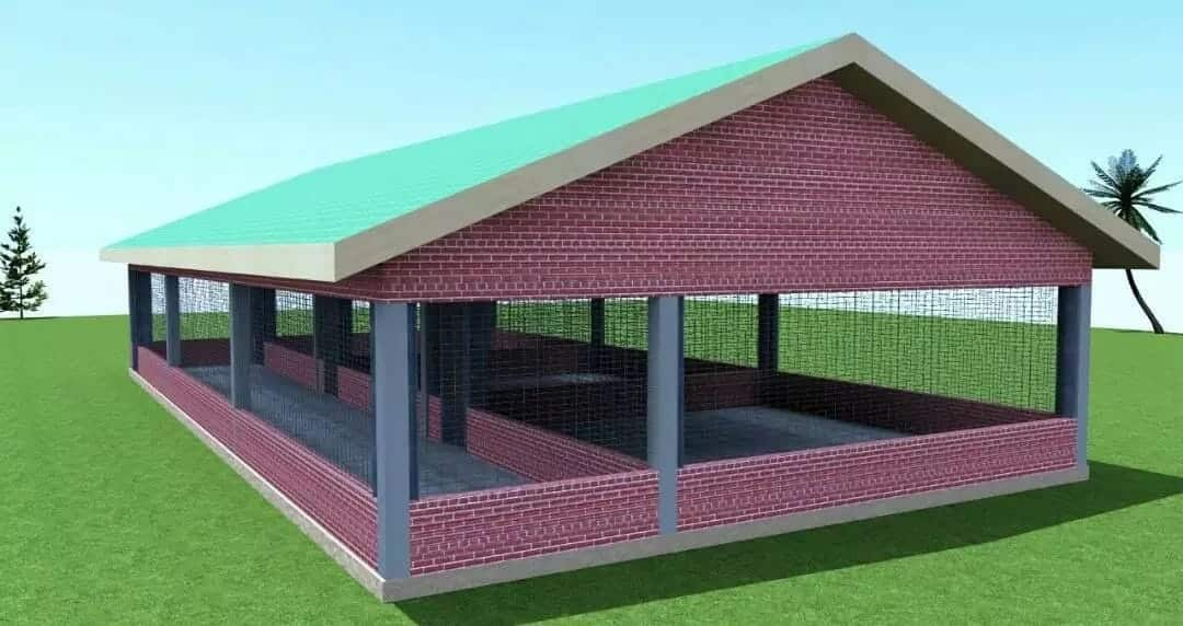 50+ Great Inspiration Poultry House Plan In Kenya