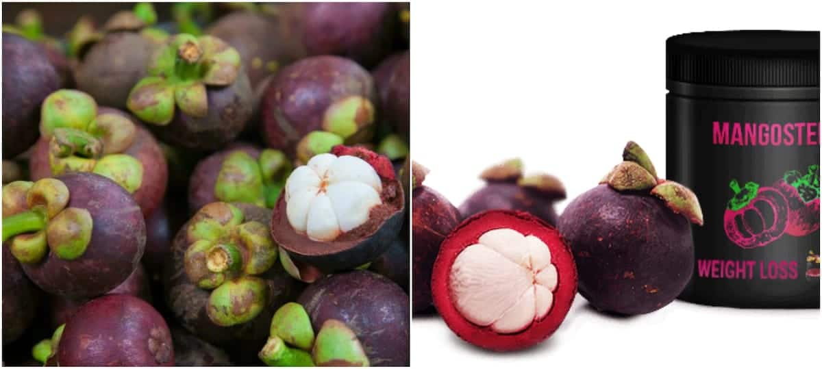 Purple Mangosteen for weight loss Tuko .ke