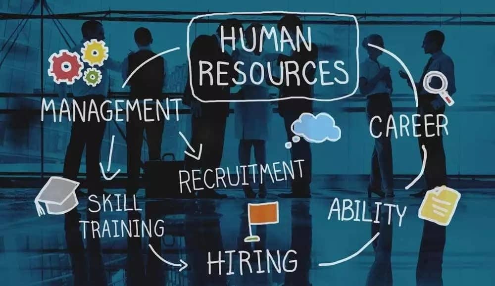 Functions and importance of Human Resource Management