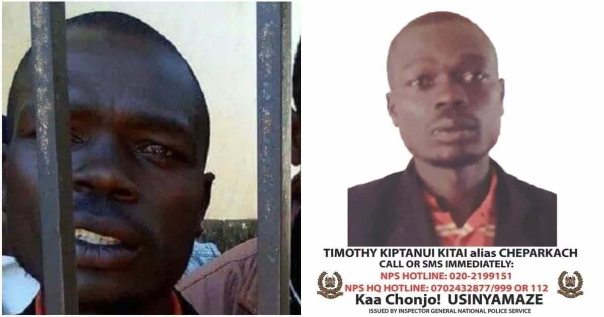 Police put KSh 1 million bounty on dangerous gang leader causing terror ...