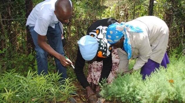 Major Environmental Issues In Kenya