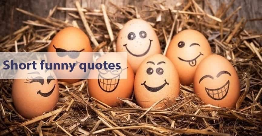 Short funny quotes Tuko.co.ke