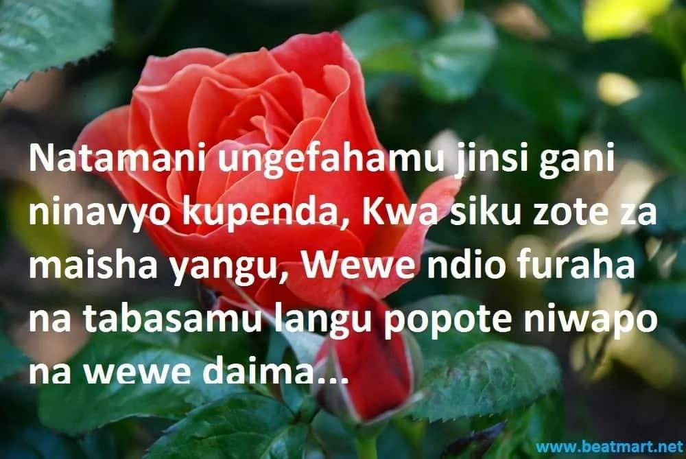 Swahili Quotes About Love With Deep Meaning And Wisdom Tuko.co.ke