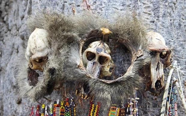 14 extremely weird things that Kenya witch doctors can do with 'ease'
