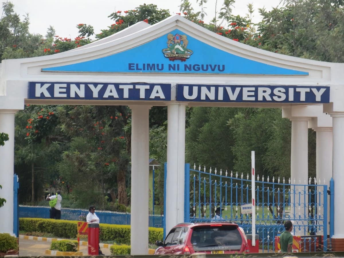 kenyatta university research papers