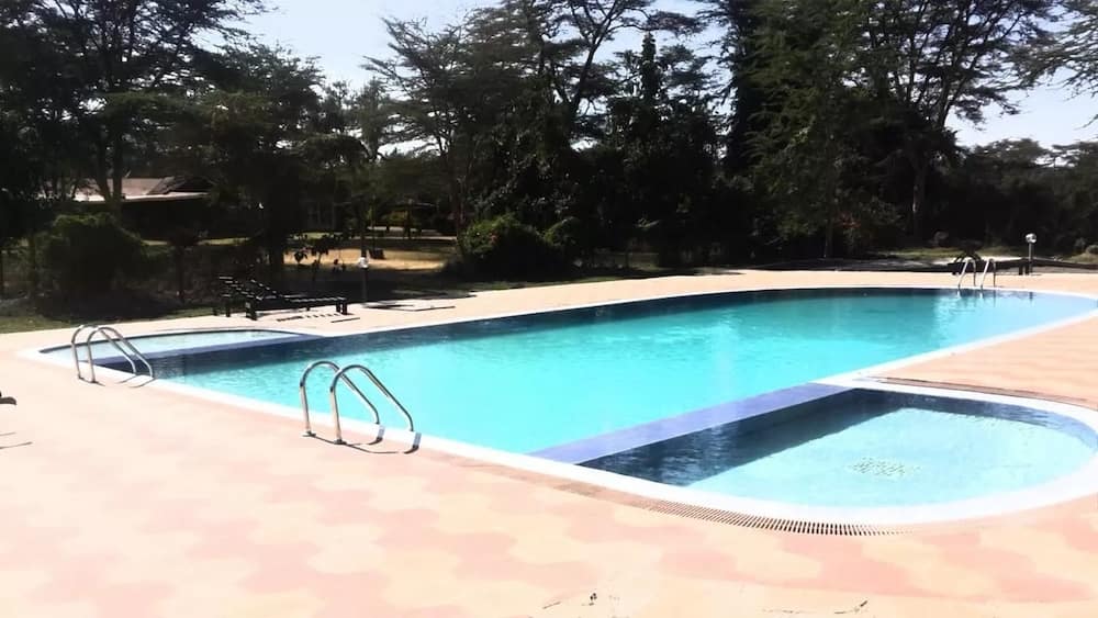 hotels in Naivasha with swimming pool