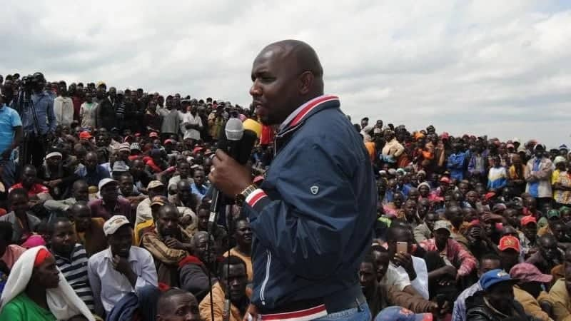 Mau forest evictions will not stop - Jubilee party insists