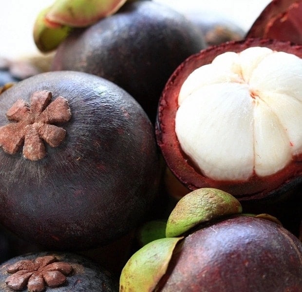 Purple Mangosteen for weight loss Tuko .ke