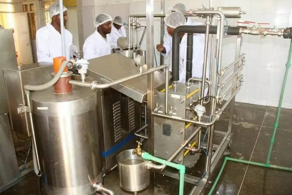 Makueni becomes first county to sell branded milk, process mangoes