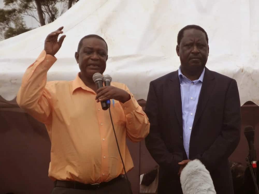 Nduguye Raila Odinga atuma ombi la kuteuliwa katika mbunge la Afrika Mashariki