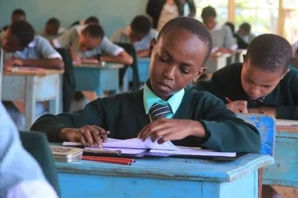 Examination Council releases SMS platform where candidates can get 2019 KCPE results