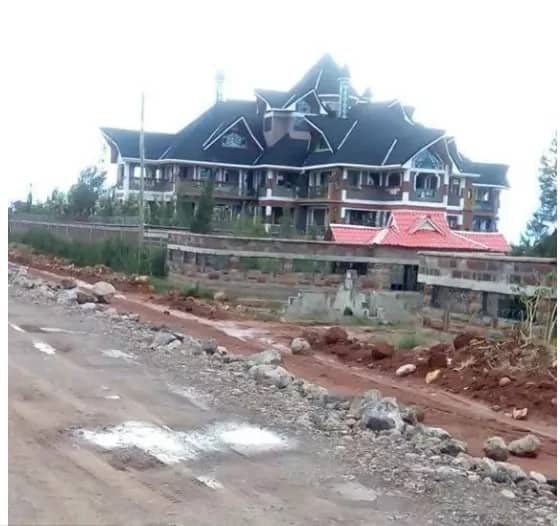 Prophet Kanyari aside, see this house that a vernacular artist is building