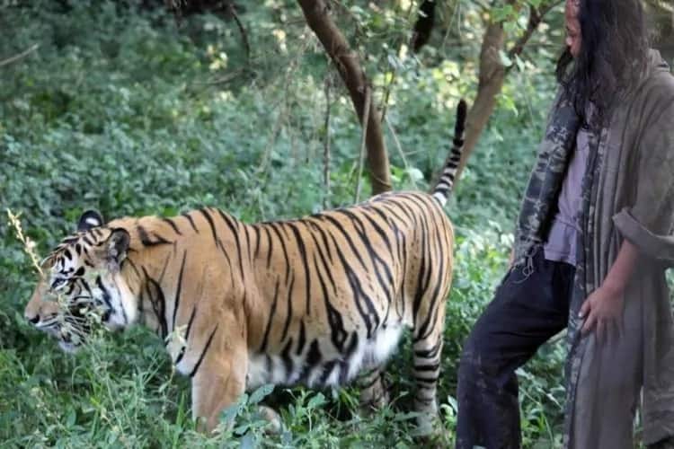 Teen, 25, has been friends with TIGER for 10 years, even sleeps in same cage with big cat (photos)