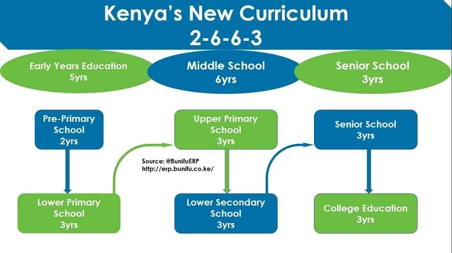 Image result for new curriculum in kenya